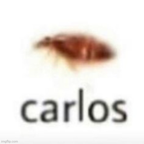 C a r l o s. | made w/ Imgflip meme maker
