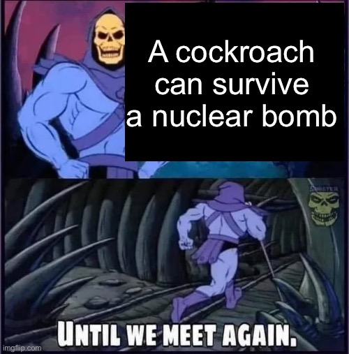 Until we meet again. | A cockroach can survive a nuclear bomb | image tagged in until we meet again | made w/ Imgflip meme maker