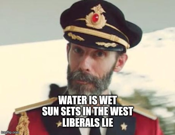 Captain Obvious | WATER IS WET
SUN SETS IN THE WEST
LIBERALS LIE | image tagged in captain obvious | made w/ Imgflip meme maker