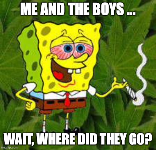 Weed | ME AND THE BOYS ... WAIT, WHERE DID THEY GO? | image tagged in weed | made w/ Imgflip meme maker