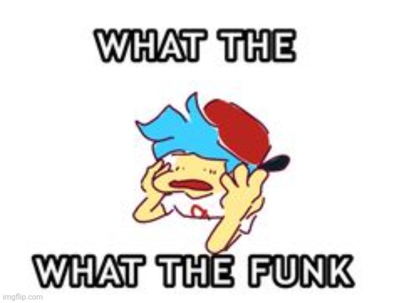 The funk- | image tagged in the funk- | made w/ Imgflip meme maker