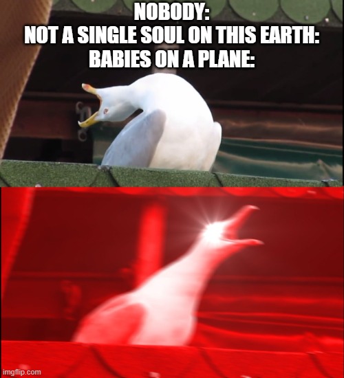 WAAAAAAAAAAAAAAAAAAAAAAAAAAAAAAAAAA | NOBODY:
NOT A SINGLE SOUL ON THIS EARTH:
BABIES ON A PLANE: | image tagged in screaming bird | made w/ Imgflip meme maker