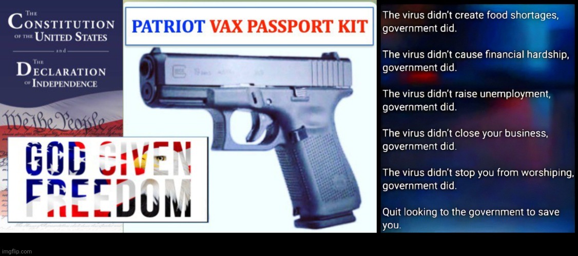 Here is my passport | image tagged in constitution,freedom | made w/ Imgflip meme maker