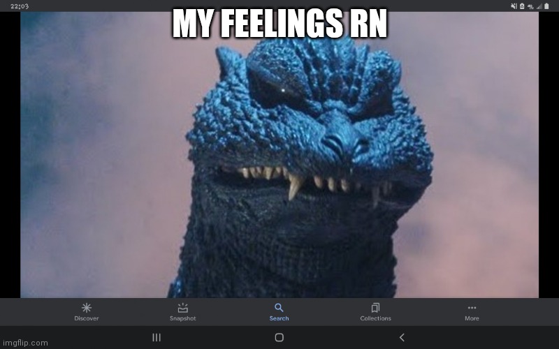 I have never seen such Dog Piss Before | MY FEELINGS RN | image tagged in godzilla has never seen such dog piss before | made w/ Imgflip meme maker