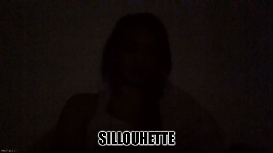 SILLOUHETTE | made w/ Imgflip meme maker