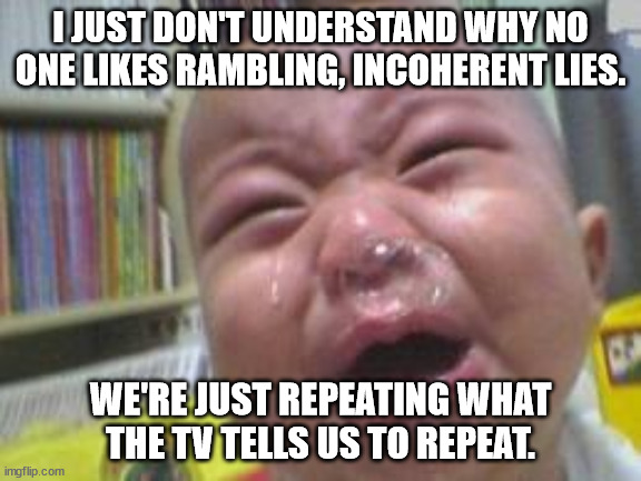 Funny crying baby! | I JUST DON'T UNDERSTAND WHY NO ONE LIKES RAMBLING, INCOHERENT LIES. WE'RE JUST REPEATING WHAT THE TV TELLS US TO REPEAT. | image tagged in funny crying baby | made w/ Imgflip meme maker