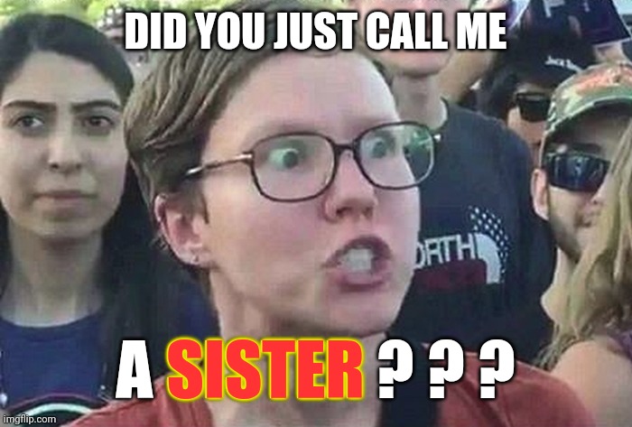 Triggered Liberal | DID YOU JUST CALL ME A SISTER ? ? ? SISTER | image tagged in triggered liberal | made w/ Imgflip meme maker