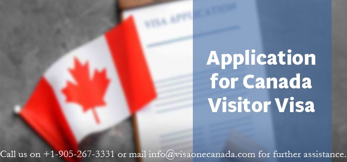 Application for Canada Visitor Visa Blank Meme Template
