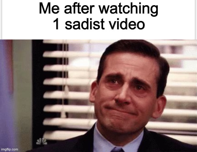 Me after watching 1 sadist video | image tagged in happy cry,sadist,dream smp | made w/ Imgflip meme maker