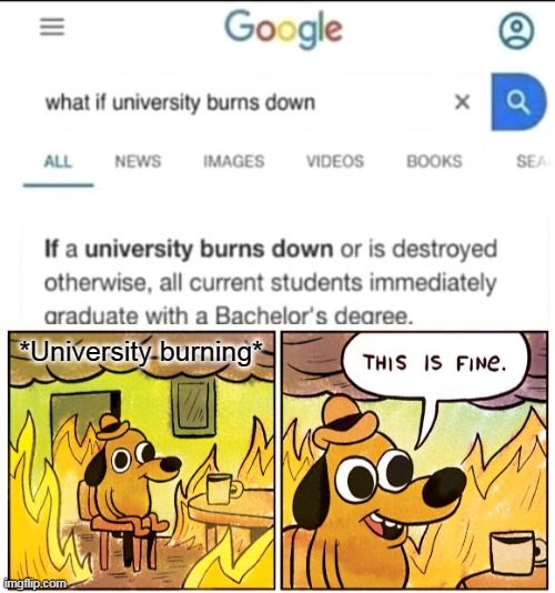 *University burning* | image tagged in memes,this is fine | made w/ Imgflip meme maker