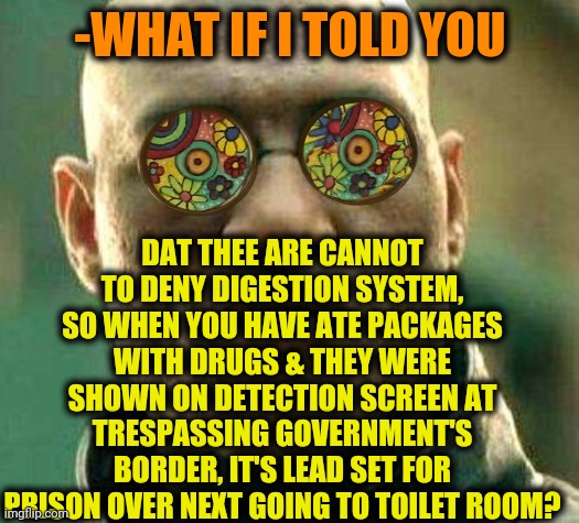 -Golden crap. | DAT THEE ARE CANNOT TO DENY DIGESTION SYSTEM, SO WHEN YOU HAVE ATE PACKAGES WITH DRUGS & THEY WERE SHOWN ON DETECTION SCREEN AT TRESPASSING GOVERNMENT'S BORDER, IT'S LEAD SET FOR PRISON OVER NEXT GOING TO TOILET ROOM? -WHAT IF I TOLD YOU | image tagged in acid kicks in morpheus,toilet humor,don't do drugs,secure the border,what if i told you,smug gentleman | made w/ Imgflip meme maker