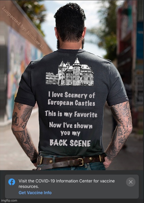 This is My Back Scene | image tagged in vaccine,t-shirt,castle,scene | made w/ Imgflip meme maker