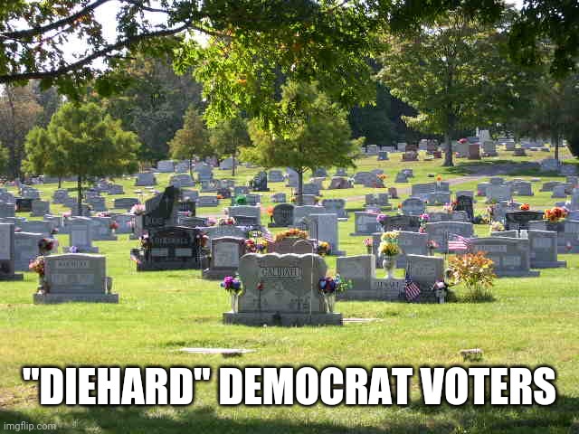 cemetery | "DIEHARD" DEMOCRAT VOTERS | image tagged in cemetery | made w/ Imgflip meme maker