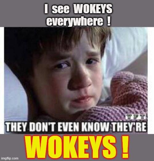 Wokeys everywhere ! | I  see  WOKEYS
everywhere  ! WOKEYS ! | image tagged in i see you | made w/ Imgflip meme maker