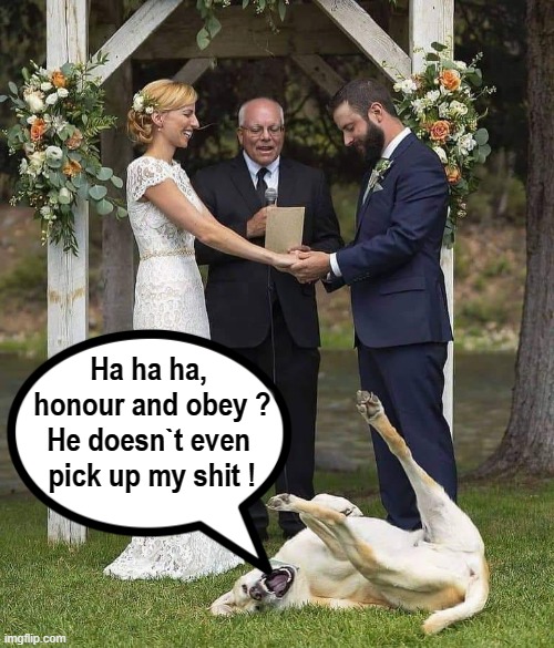 Honour and obey - ha ha ha ! | Ha ha ha,   
honour and obey ?  
He doesn`t even   
pick up my shit ! | image tagged in thomas had never seen such bullshit before | made w/ Imgflip meme maker