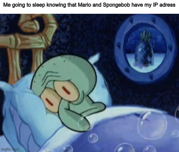 Me going to sleep knowing that Mario and Spongebob have my IP adress | made w/ Imgflip meme maker
