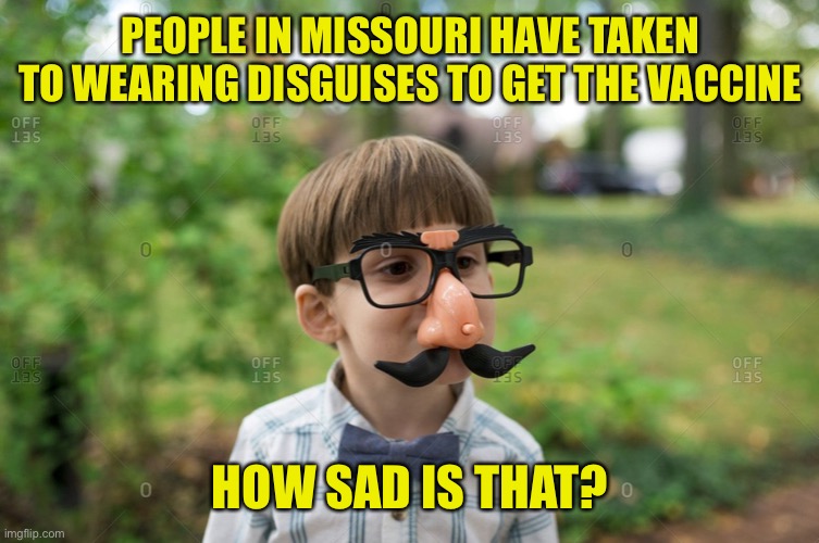 When you are surrounded by a death cult | PEOPLE IN MISSOURI HAVE TAKEN TO WEARING DISGUISES TO GET THE VACCINE; HOW SAD IS THAT? | image tagged in disguised,get the damn shot | made w/ Imgflip meme maker