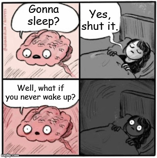 oh shi- | Yes, shut it. Gonna sleep? Well, what if you never wake up? | image tagged in brain before sleep | made w/ Imgflip meme maker
