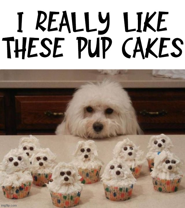 I REALLY LIKE THESE PUP CAKES | image tagged in dogs | made w/ Imgflip meme maker