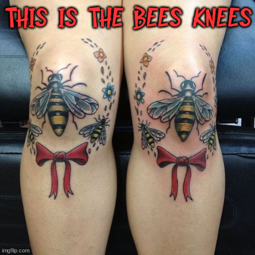 THIS IS THE BEES KNEES | made w/ Imgflip meme maker