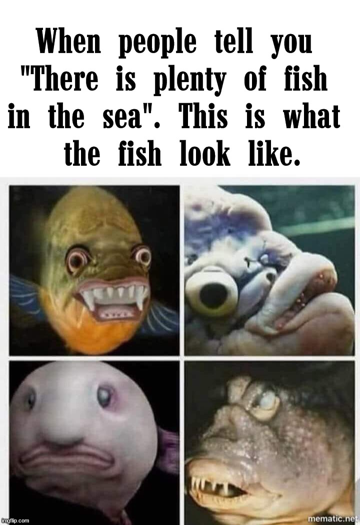 Being single after 30 is tough. |  When people tell you 
"There is plenty of fish 
in the sea". This is what 
the fish look like. | image tagged in blank white template,fish,dating,men,women | made w/ Imgflip meme maker