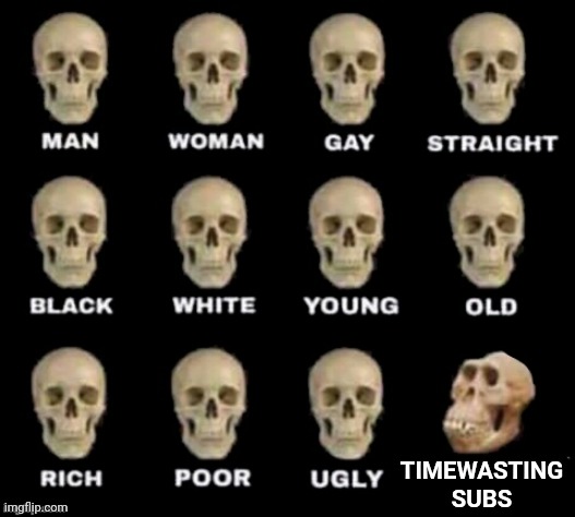 Idiot skull findom | TIMEWASTING
SUBS | image tagged in idiot skull | made w/ Imgflip meme maker
