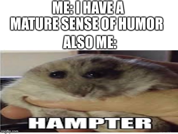 Hampter | ME: I HAVE A MATURE SENSE OF HUMOR; ALSO ME: | made w/ Imgflip meme maker
