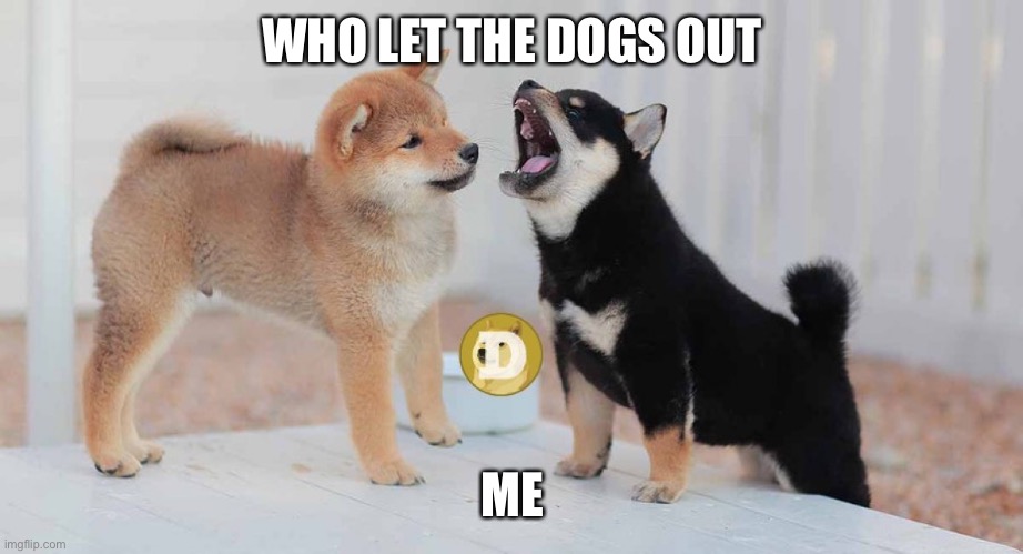WHO LET THE DOGS OUT; ME | image tagged in dogecoin | made w/ Imgflip meme maker