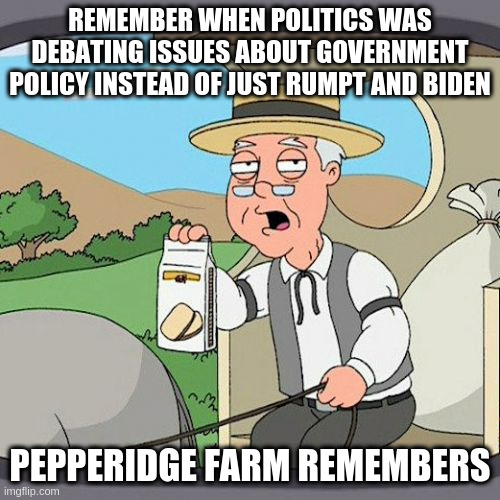 Another wasted meme | REMEMBER WHEN POLITICS WAS DEBATING ISSUES ABOUT GOVERNMENT POLICY INSTEAD OF JUST RUMPT AND BIDEN; PEPPERIDGE FARM REMEMBERS | image tagged in memes,pepperidge farm remembers | made w/ Imgflip meme maker