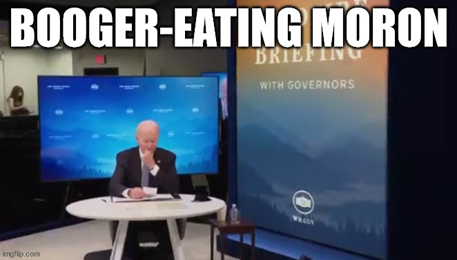 Booger-eating moron. | BOOGER-EATING MORON | image tagged in joe biden | made w/ Imgflip meme maker