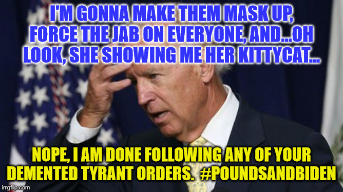 Joe Biden worries | I'M GONNA MAKE THEM MASK UP, FORCE THE JAB ON EVERYONE, AND...OH LOOK, SHE SHOWING ME HER KITTYCAT... NOPE, I AM DONE FOLLOWING ANY OF YOUR DEMENTED TYRANT ORDERS.  #POUNDSANDBIDEN | image tagged in joe biden worries | made w/ Imgflip meme maker