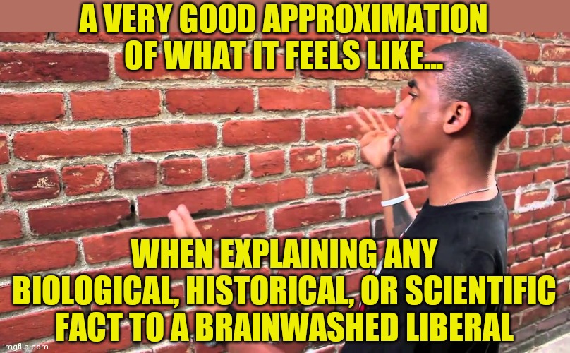 Why bother, these liberals cannot hear you. They wouldn't be liberals if they could think rationally right? | A VERY GOOD APPROXIMATION OF WHAT IT FEELS LIKE... WHEN EXPLAINING ANY BIOLOGICAL, HISTORICAL, OR SCIENTIFIC FACT TO A BRAINWASHED LIBERAL | image tagged in talking to wall,stupid liberals,waste of time | made w/ Imgflip meme maker
