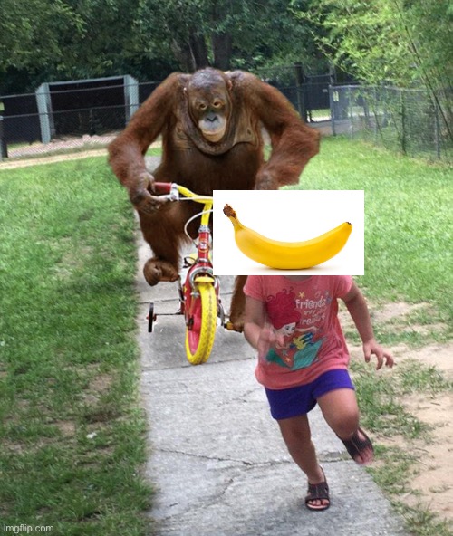 Orangutan chasing girl on a tricycle | image tagged in orangutan chasing girl on a tricycle | made w/ Imgflip meme maker
