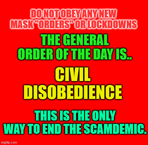 RED SQUARE | DO NOT OBEY ANY NEW MASK "ORDERS" OR LOCKDOWNS; THE GENERAL ORDER OF THE DAY IS.. CIVIL DISOBEDIENCE; THIS IS THE ONLY WAY TO END THE SCAMDEMIC. | image tagged in red square | made w/ Imgflip meme maker