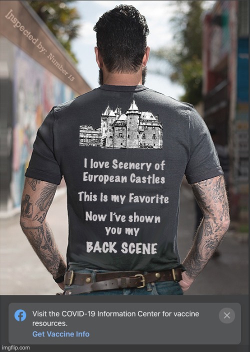 This is my Back Scene | image tagged in vaccine,scene,castle,covid-19 | made w/ Imgflip meme maker