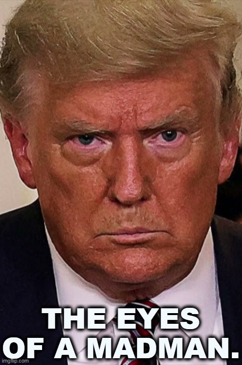 Not handling it well. |  THE EYES OF A MADMAN. | image tagged in trump,eyes,madman | made w/ Imgflip meme maker
