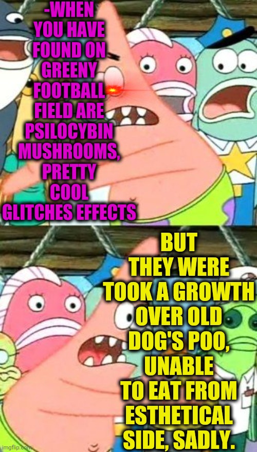 -For minimum million dollars. | -WHEN YOU HAVE FOUND ON GREENY FOOTBALL FIELD ARE PSILOCYBIN MUSHROOMS, PRETTY COOL GLITCHES EFFECTS; BUT THEY WERE TOOK A GROWTH OVER OLD DOG'S POO, UNABLE TO EAT FROM ESTHETICAL SIDE, SADLY. | image tagged in memes,put it somewhere else patrick,dog poop,football field,magic mushrooms,don't do drugs | made w/ Imgflip meme maker