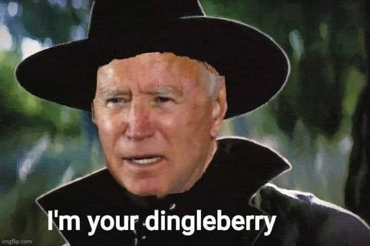 "I'm your dingle berry." Yes you are, Mr. Biden. Yes you are. | image tagged in joe biden,creepy joe biden | made w/ Imgflip meme maker
