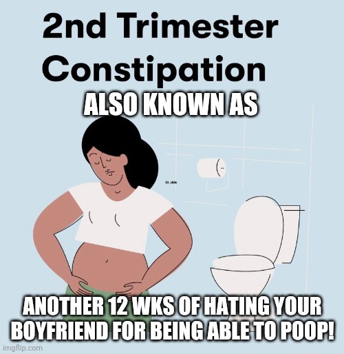 Joys of being pregnant | ALSO KNOWN AS; ANOTHER 12 WKS OF HATING YOUR BOYFRIEND FOR BEING ABLE TO POOP! | image tagged in pregnant | made w/ Imgflip meme maker