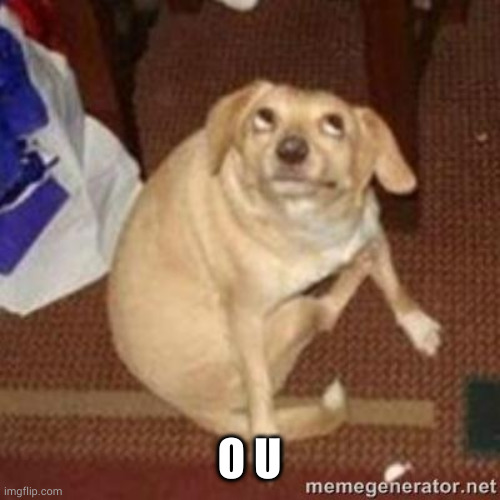 oh you dog | O U | image tagged in oh you dog | made w/ Imgflip meme maker