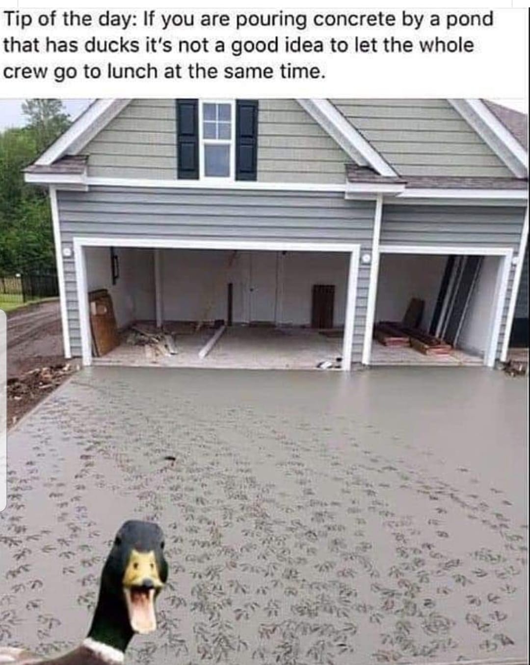 Ducky embossed concrete | image tagged in duck face,darkwing duck,duck tales,donald duck,carpentry | made w/ Imgflip meme maker