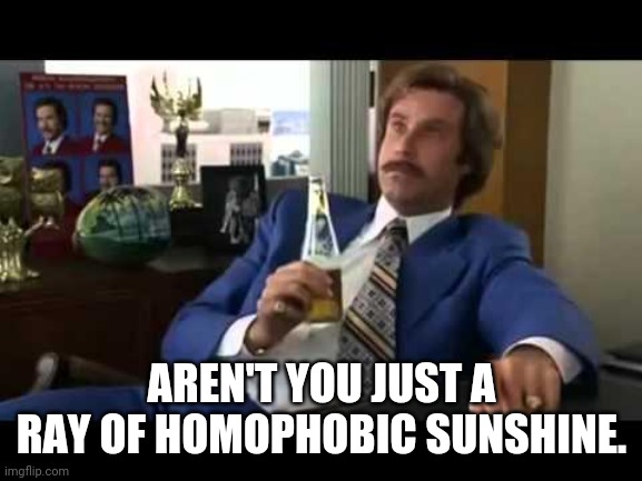 Well That Escalated Quickly Meme | AREN'T YOU JUST A RAY OF HOMOPHOBIC SUNSHINE. | image tagged in memes,well that escalated quickly | made w/ Imgflip meme maker