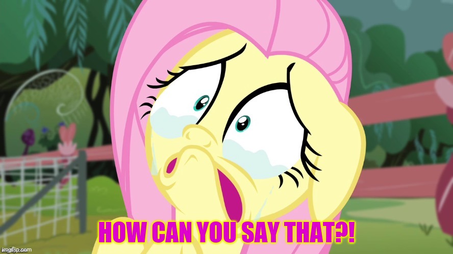 Crying Fluttershy | HOW CAN YOU SAY THAT?! | image tagged in crying fluttershy | made w/ Imgflip meme maker