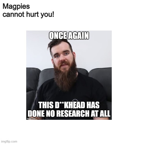 Magpie myth | Magpies cannot hurt you! | image tagged in australia | made w/ Imgflip meme maker