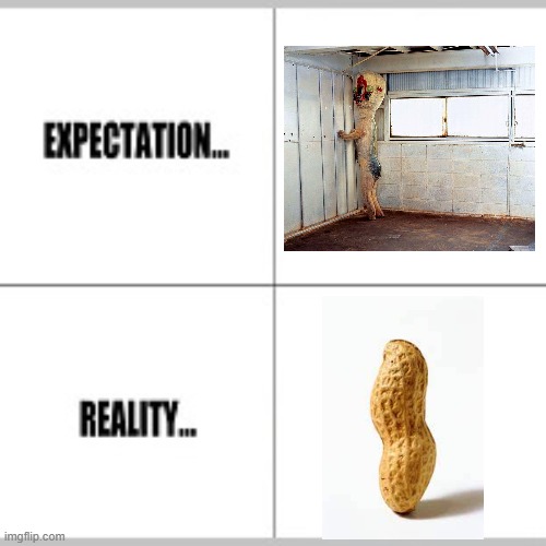 im disappointed | image tagged in expectation vs reality | made w/ Imgflip meme maker