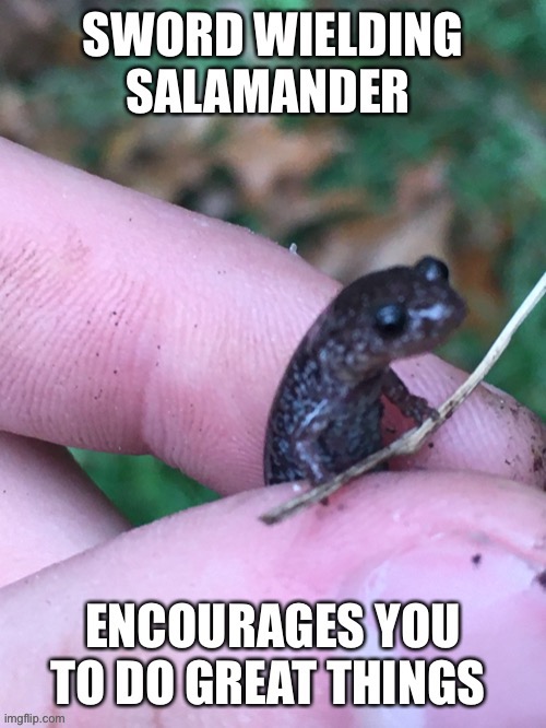 Salamander positivity | image tagged in positivity | made w/ Imgflip meme maker