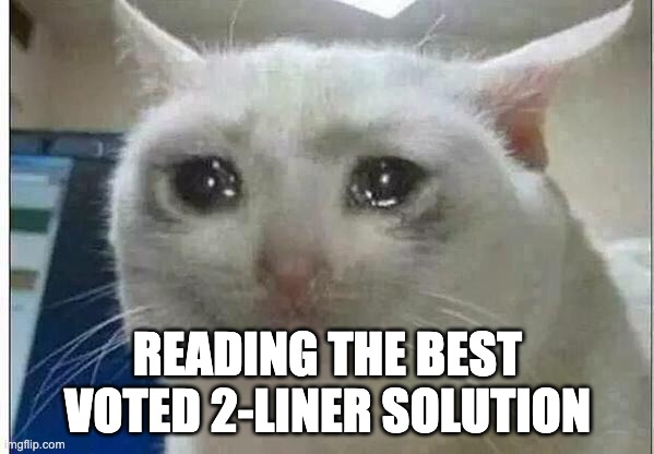 crying cat | READING THE BEST VOTED 2-LINER SOLUTION | image tagged in crying cat | made w/ Imgflip meme maker