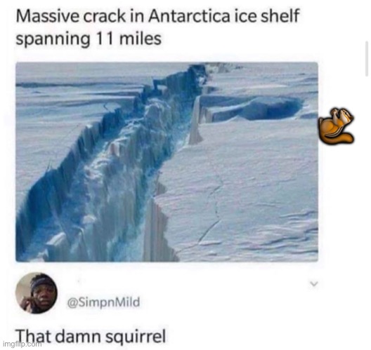That damn squirrel ? ? ????????????? | 🐿 | image tagged in ice age,funny,cursed,dark humor,memes,funny memes | made w/ Imgflip meme maker