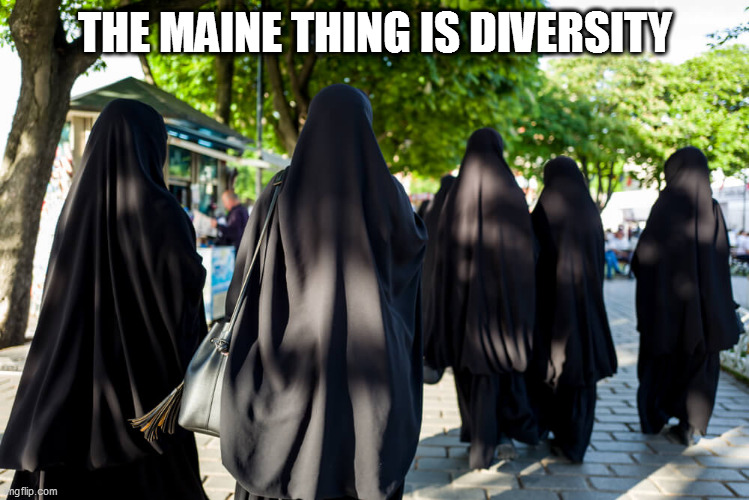 THE MAINE THING IS DIVERSITY | made w/ Imgflip meme maker