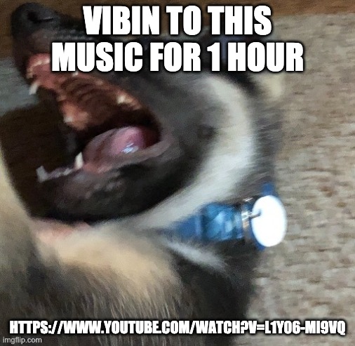 also in comments | VIBIN TO THIS MUSIC FOR 1 HOUR; HTTPS://WWW.YOUTUBE.COM/WATCH?V=L1Y06-MI9VQ | image tagged in angy doggo | made w/ Imgflip meme maker